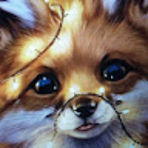 Meet your Posher, Hope_